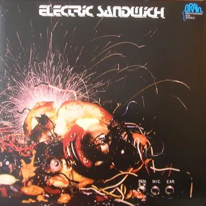 Electric sandwich